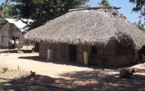 local Rotenese house